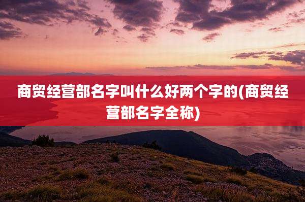 商贸经营部名字叫什么好两个字的(商贸经营部名字全称)