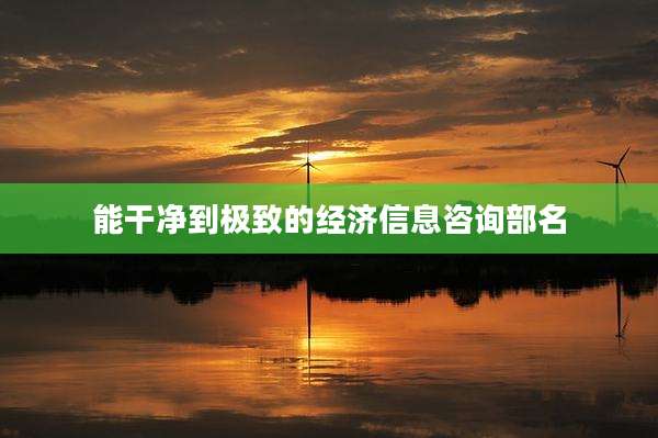 能干净到极致的经济信息咨询部名