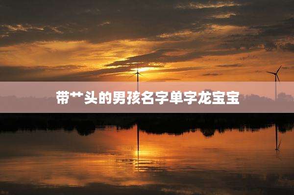带艹头的男孩名字单字龙宝宝