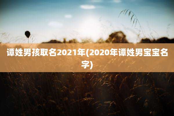 谭姓男孩取名2021年(2020年谭姓男宝宝名字)