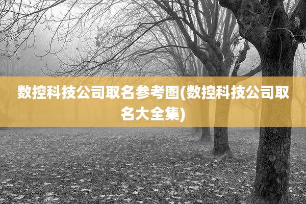 数控科技公司取名参考图(数控科技公司取名大全集)