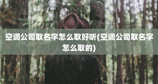 空调公司取名字怎么取好听(空调公司取名字怎么取的)