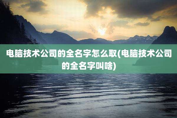 电脑技术公司的全名字怎么取(电脑技术公司的全名字叫啥)
