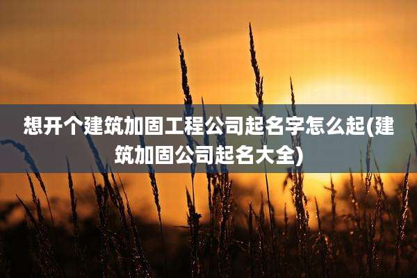 想开个建筑加固工程公司起名字怎么起(建筑加固公司起名大全)