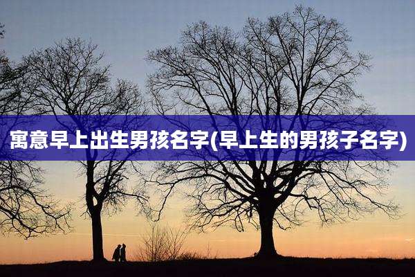 寓意早上出生男孩名字(早上生的男孩子名字)