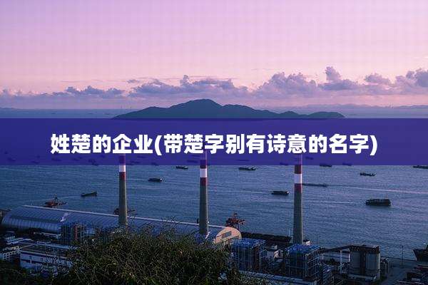 姓楚的企业(带楚字别有诗意的名字)