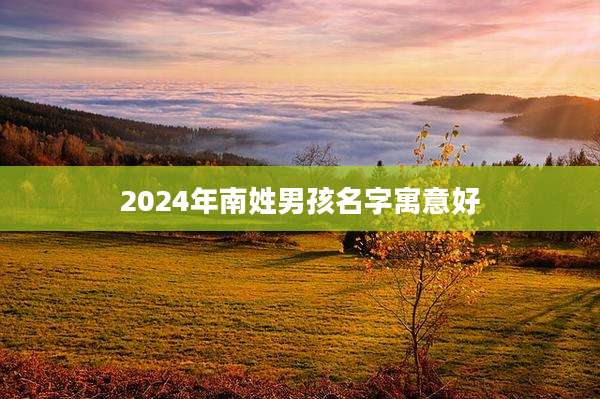 2024年南姓男孩名字寓意好