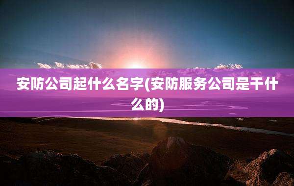 安防公司起什么名字(安防服务公司是干什么的)
