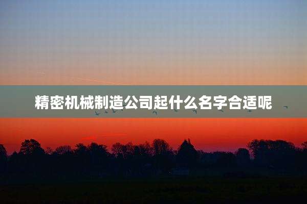 精密机械制造公司起什么名字合适呢