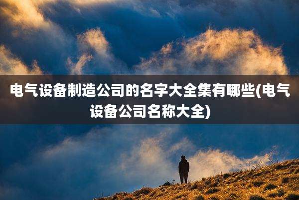 电气设备制造公司的名字大全集有哪些(电气设备公司名称大全)