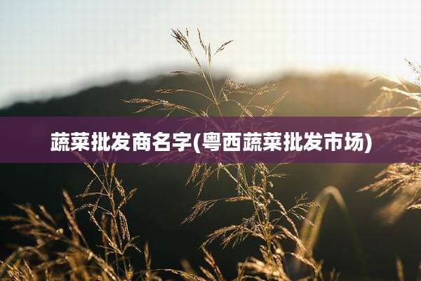 蔬菜批发商名字(粤西蔬菜批发市场)