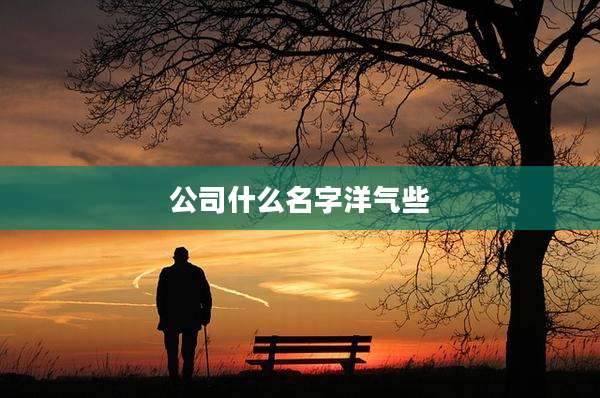 公司什么名字洋气些