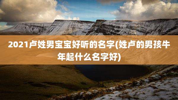 2021卢姓男宝宝好听的名字(姓卢的男孩牛年起什么名字好)