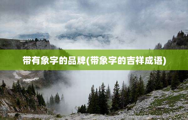 带有象字的品牌(带象字的吉祥成语)