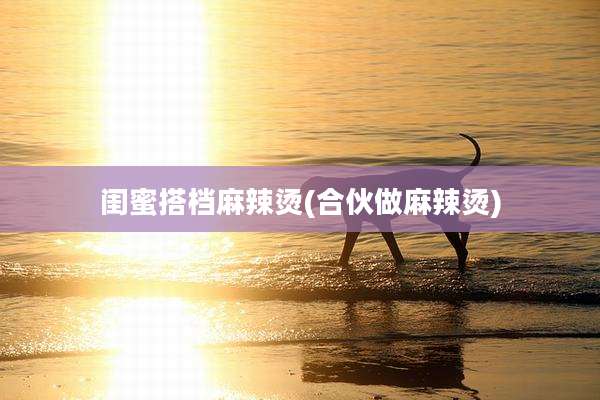 闺蜜搭档麻辣烫(合伙做麻辣烫)
