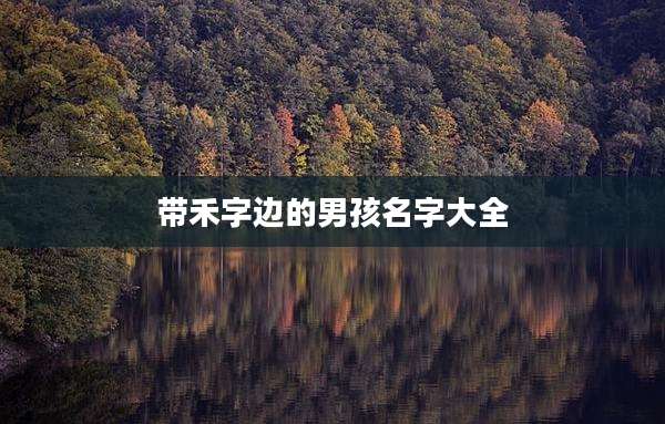 带禾字边的男孩名字大全