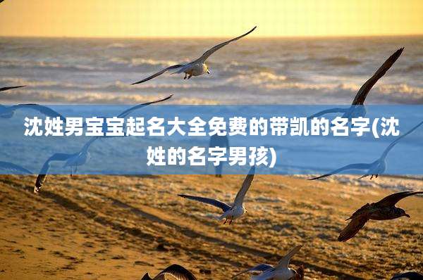 沈姓男宝宝起名大全免费的带凯的名字(沈姓的名字男孩)