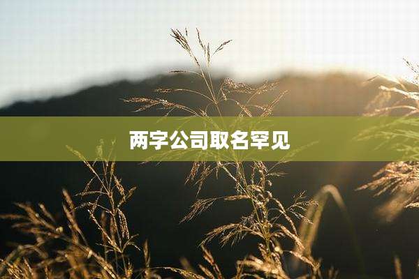 两字公司取名罕见