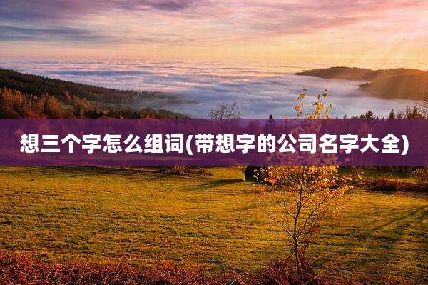 想三个字怎么组词(带想字的公司名字大全)