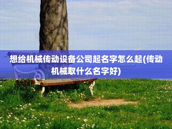 想给机械传动设备公司起名字怎么起(传动机械取什么名字好)