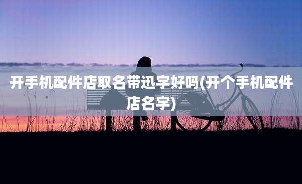 开手机配件店取名带迅字好吗(开个手机配件店名字)