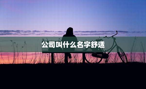 公司叫什么名字舒适