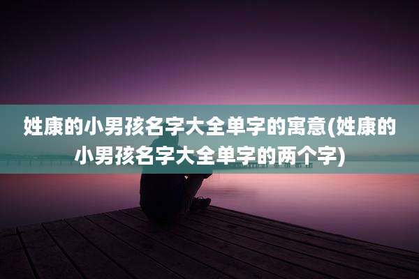 姓康的小男孩名字大全单字的寓意(姓康的小男孩名字大全单字的两个字)