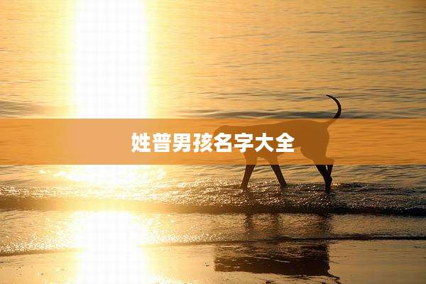 姓普男孩名字大全