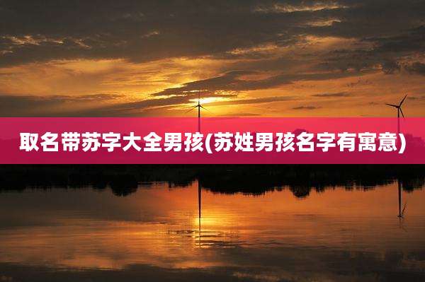 取名带苏字大全男孩(苏姓男孩名字有寓意)