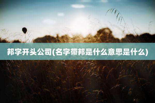 邦字开头公司(名字带邦是什么意思是什么)