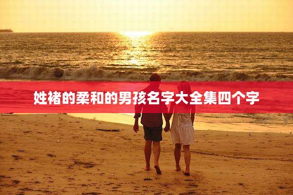 姓褚的柔和的男孩名字大全集四个字