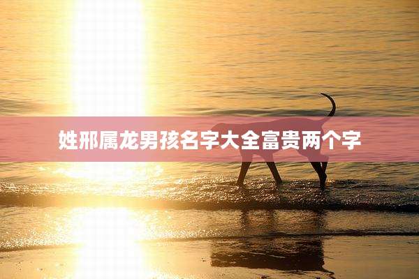 姓邢属龙男孩名字大全富贵两个字