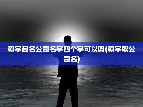 翰字起名公司名字四个字可以吗(翰字取公司名)