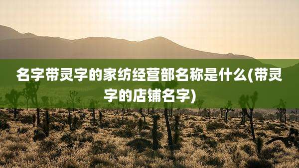 名字带灵字的家纺经营部名称是什么(带灵字的店铺名字)
