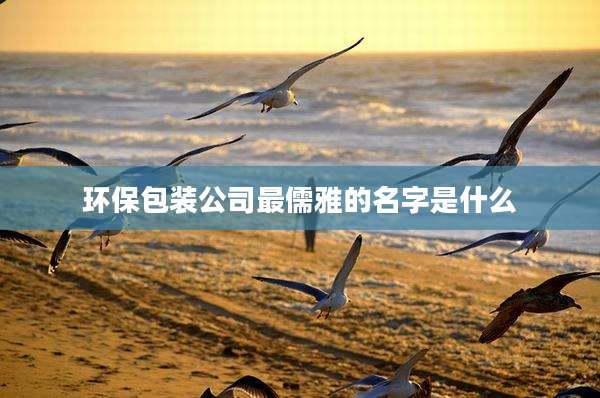 环保包装公司最儒雅的名字是什么