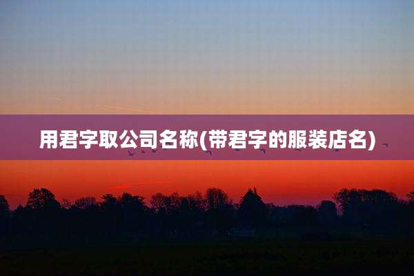 用君字取公司名称(带君字的服装店名)