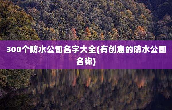 300个防水公司名字大全(有创意的防水公司名称)
