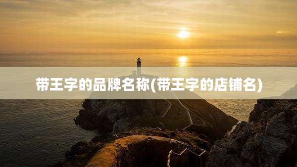 带王字的品牌名称(带王字的店铺名)
