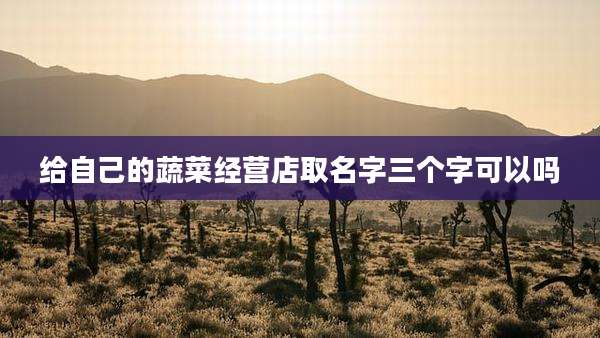 给自己的蔬菜经营店取名字三个字可以吗
