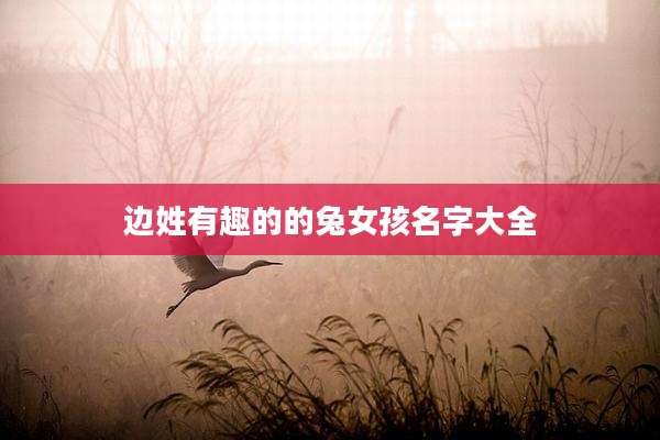 边姓有趣的的兔女孩名字大全