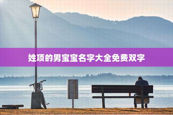 姓项的男宝宝名字大全免费双字
