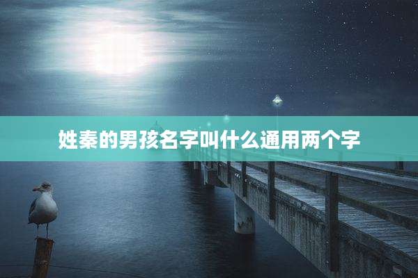 姓秦的男孩名字叫什么通用两个字