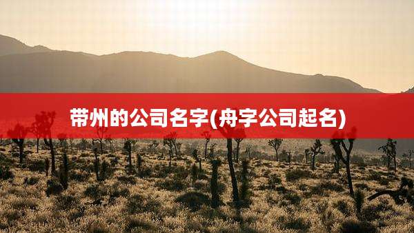 带州的公司名字(舟字公司起名)