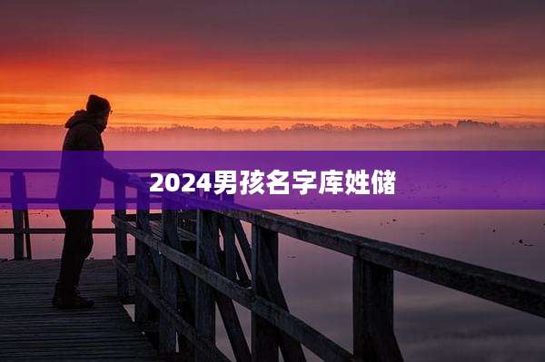 2024男孩名字库姓储