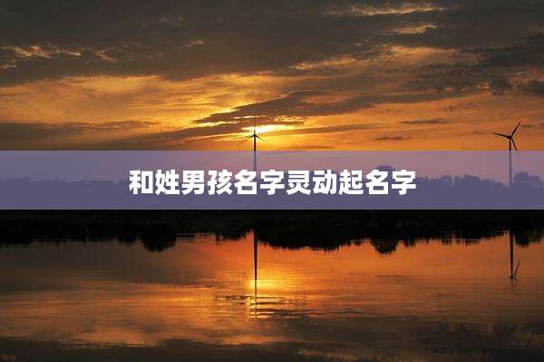 和姓男孩名字灵动起名字