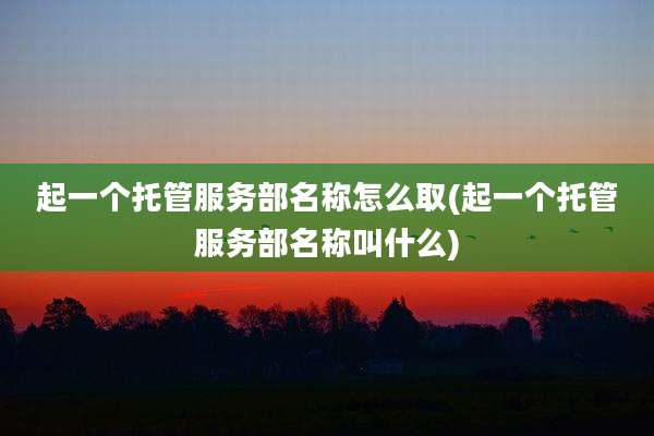 起一个托管服务部名称怎么取(起一个托管服务部名称叫什么)