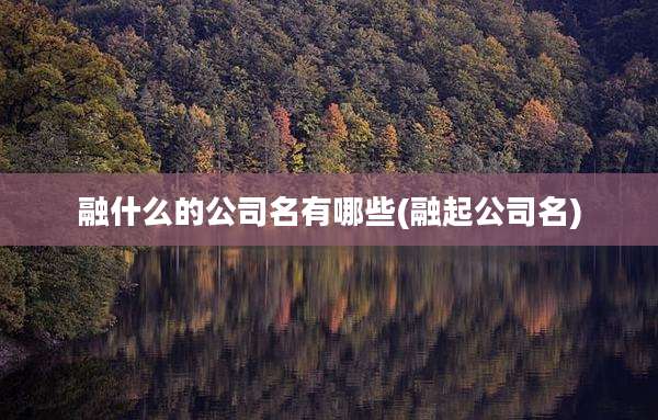 融什么的公司名有哪些(融起公司名)