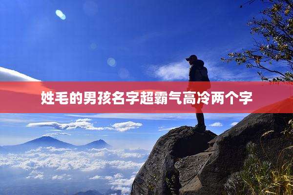 姓毛的男孩名字超霸气高冷两个字