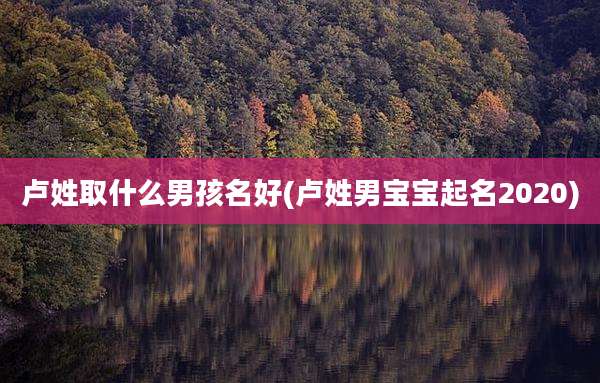 卢姓取什么男孩名好(卢姓男宝宝起名2020)