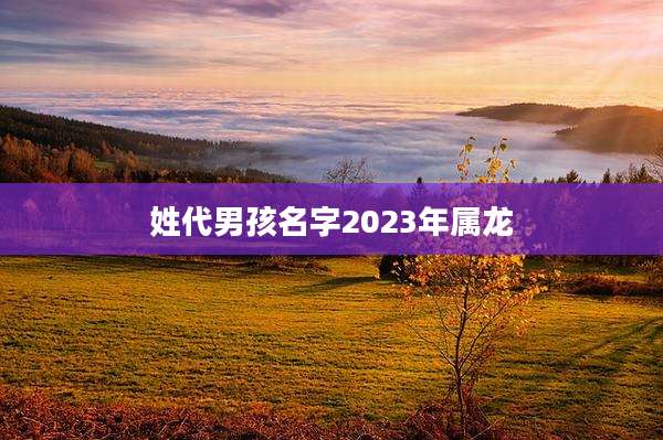 姓代男孩名字2023年属龙